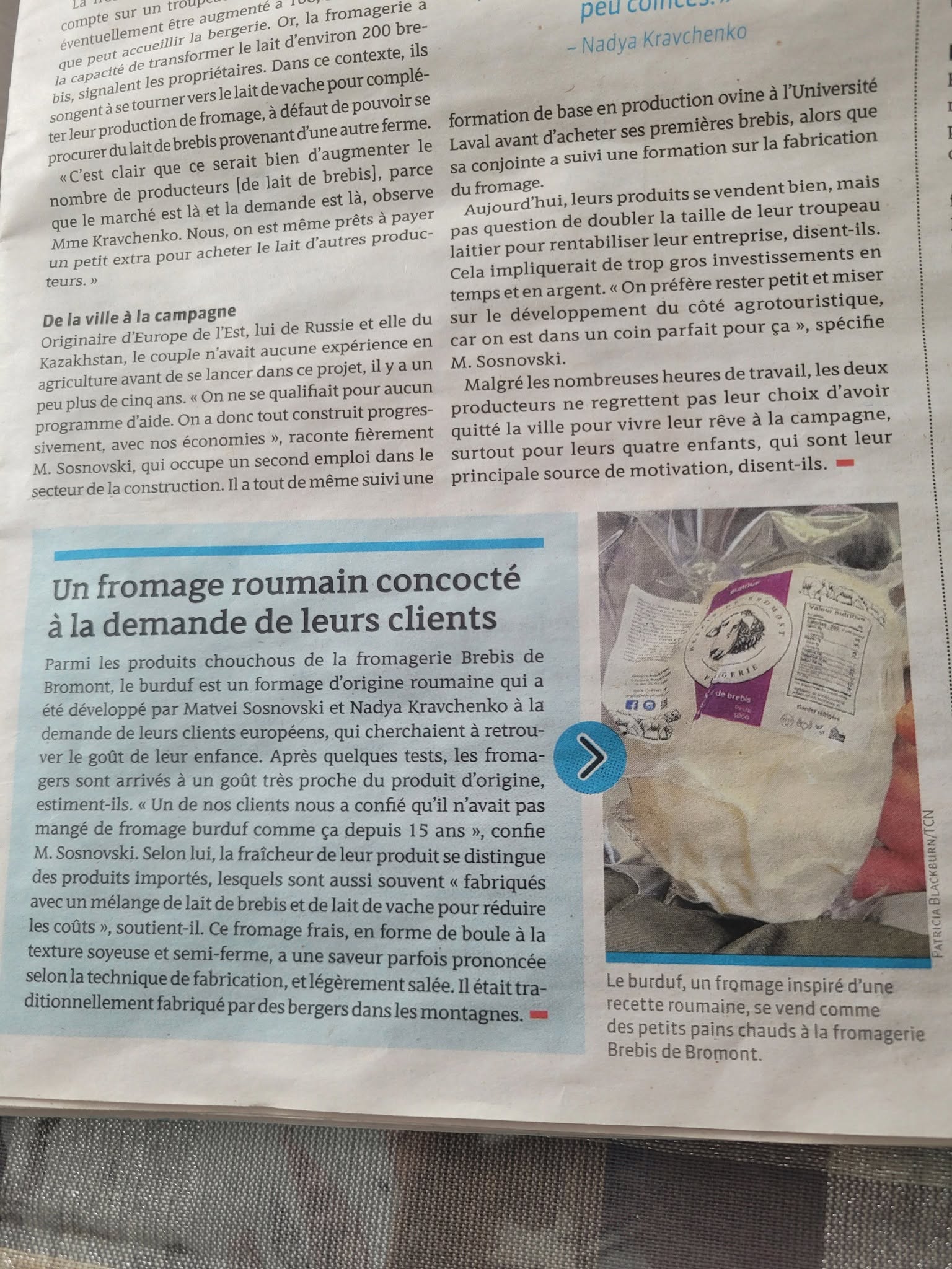 Article sur un fromage roumain de Brebis de Bromont